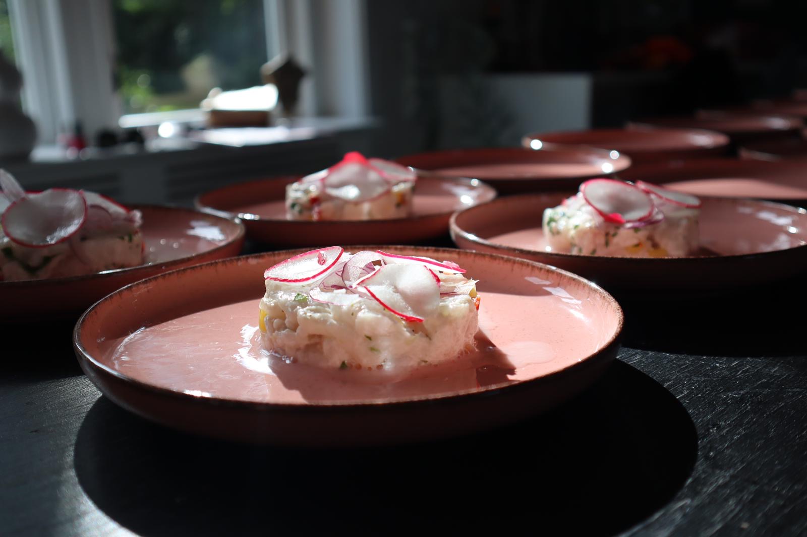 Ceviche gerecht De Kooksub